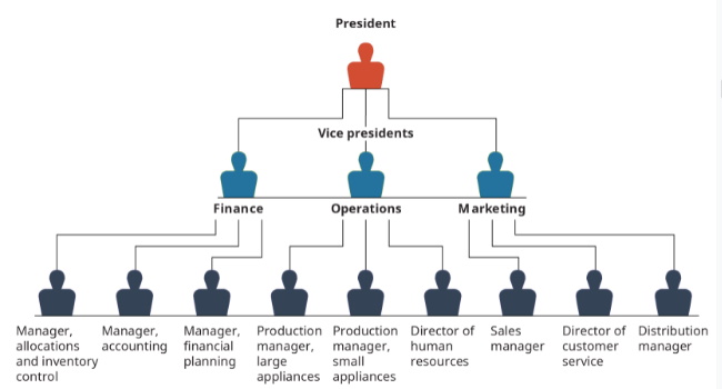 chart of the corporate hierarchy