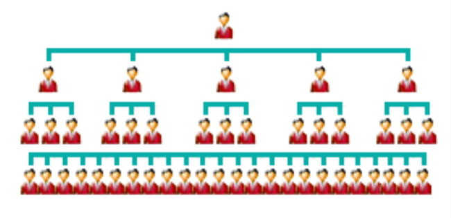 diagram of unilevel pay structure