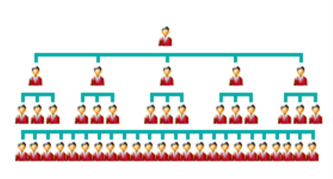 diagram of unilevel pay structure