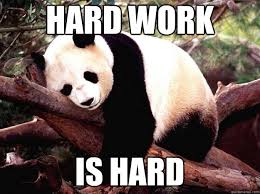 panda hard work meme
