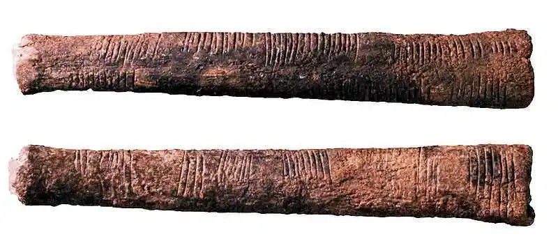 picture of ancient bone tally sticks