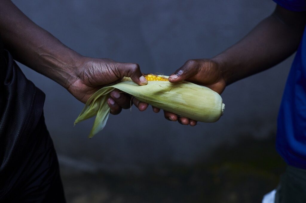 picture of corn changing hands